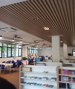 Rèm Cửa Trường Học